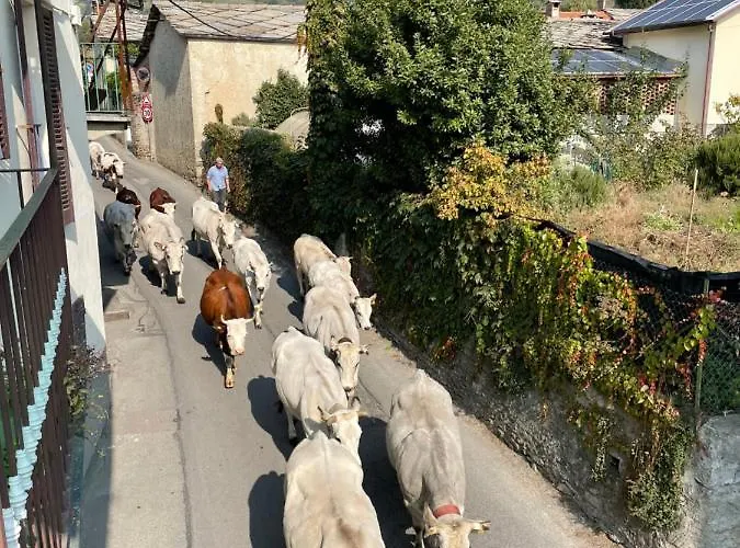 Appartement L'orologio Panoramico *